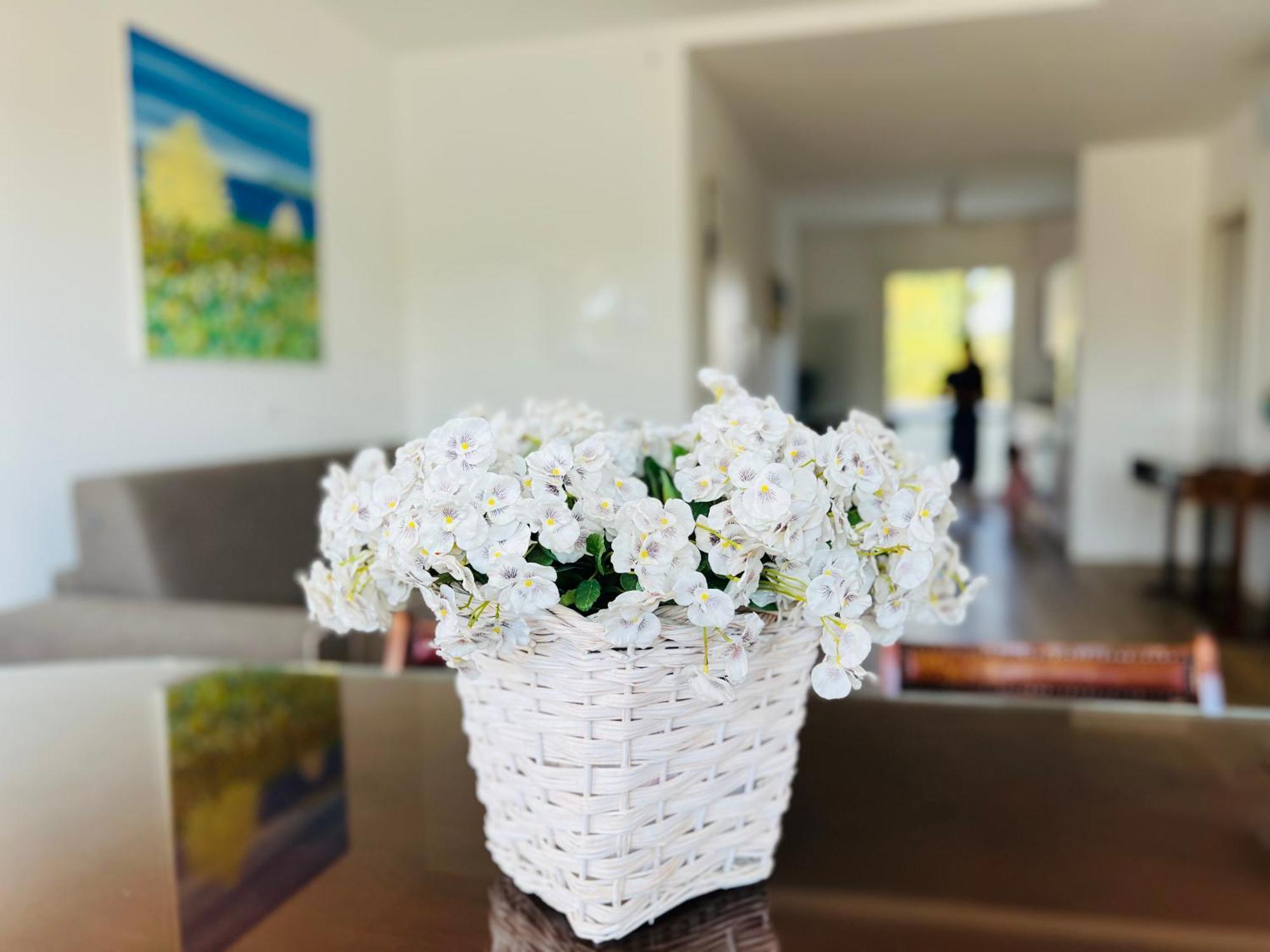 Padova Apartment Sarmeola Ngoại thất bức ảnh